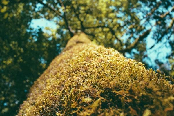 SalesFlow CRM